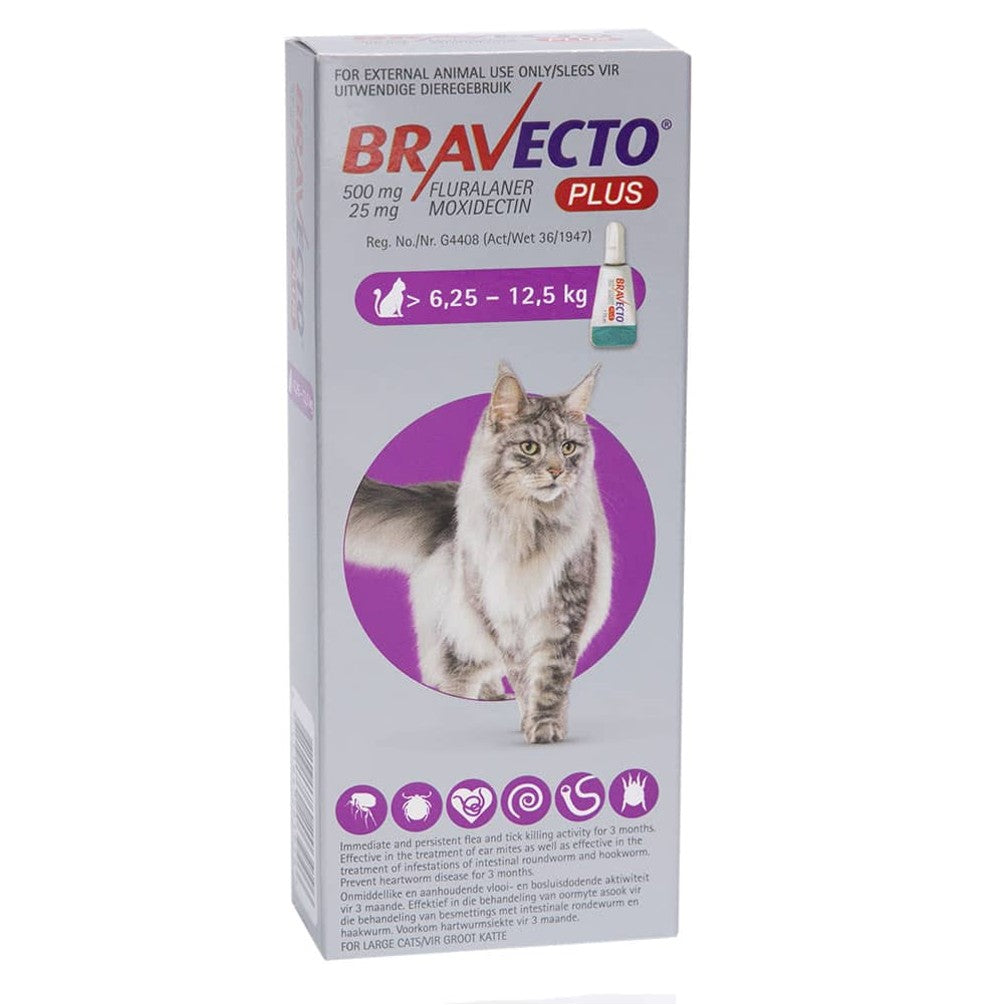 BRAVECTO for Cats