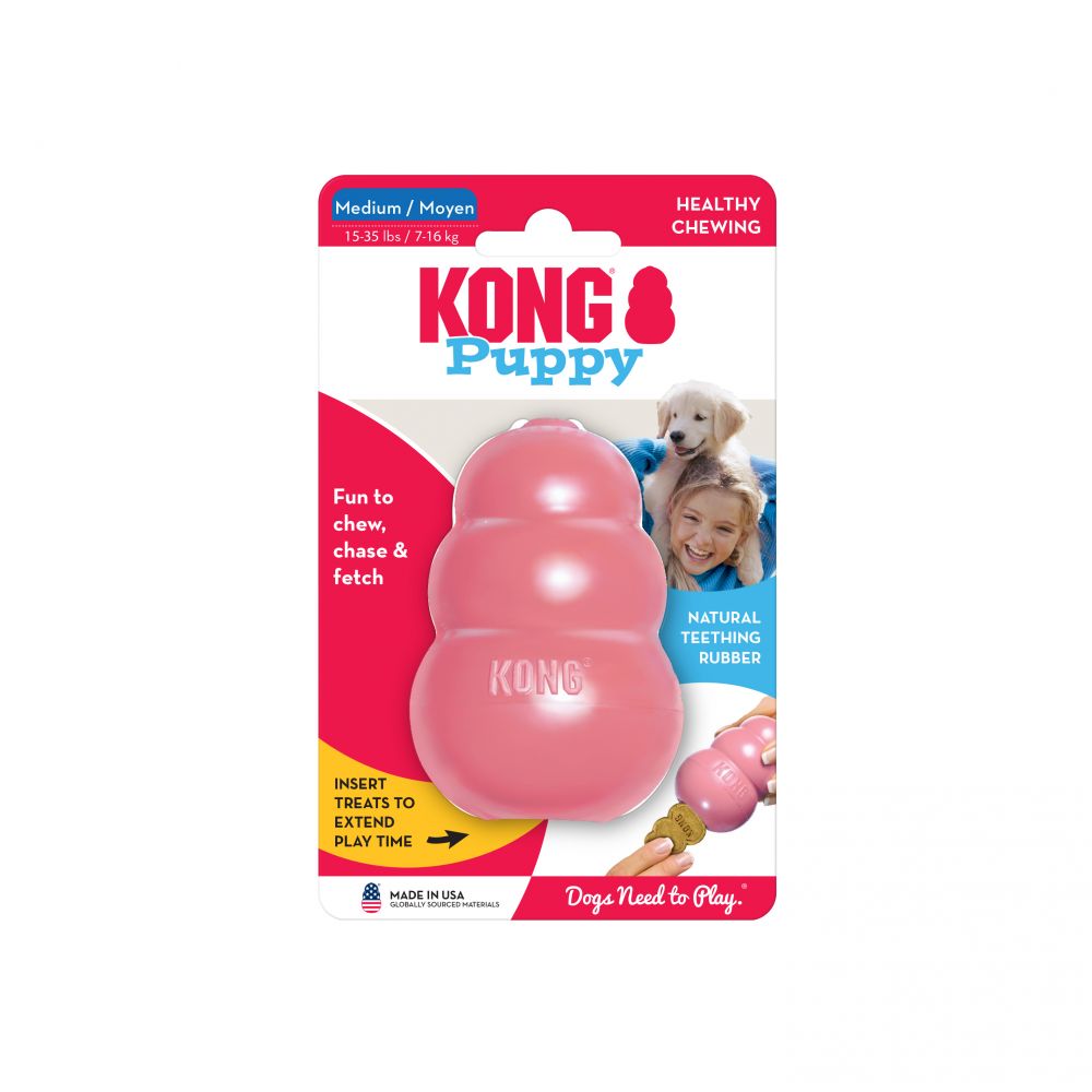 KONG PUPPY