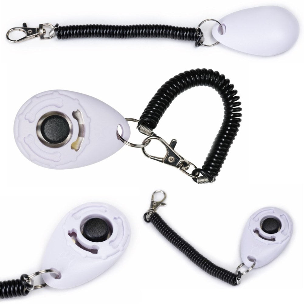 MPETS TRAINING CLICKER