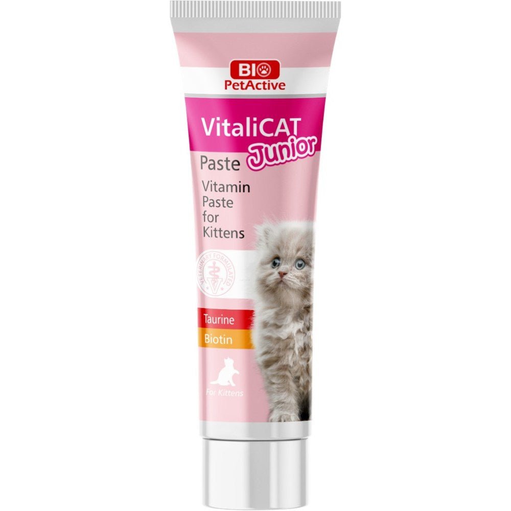 BIO PETACTIVE VITALICAT JUNIOR PASTE 100ml - Petzone Kenya