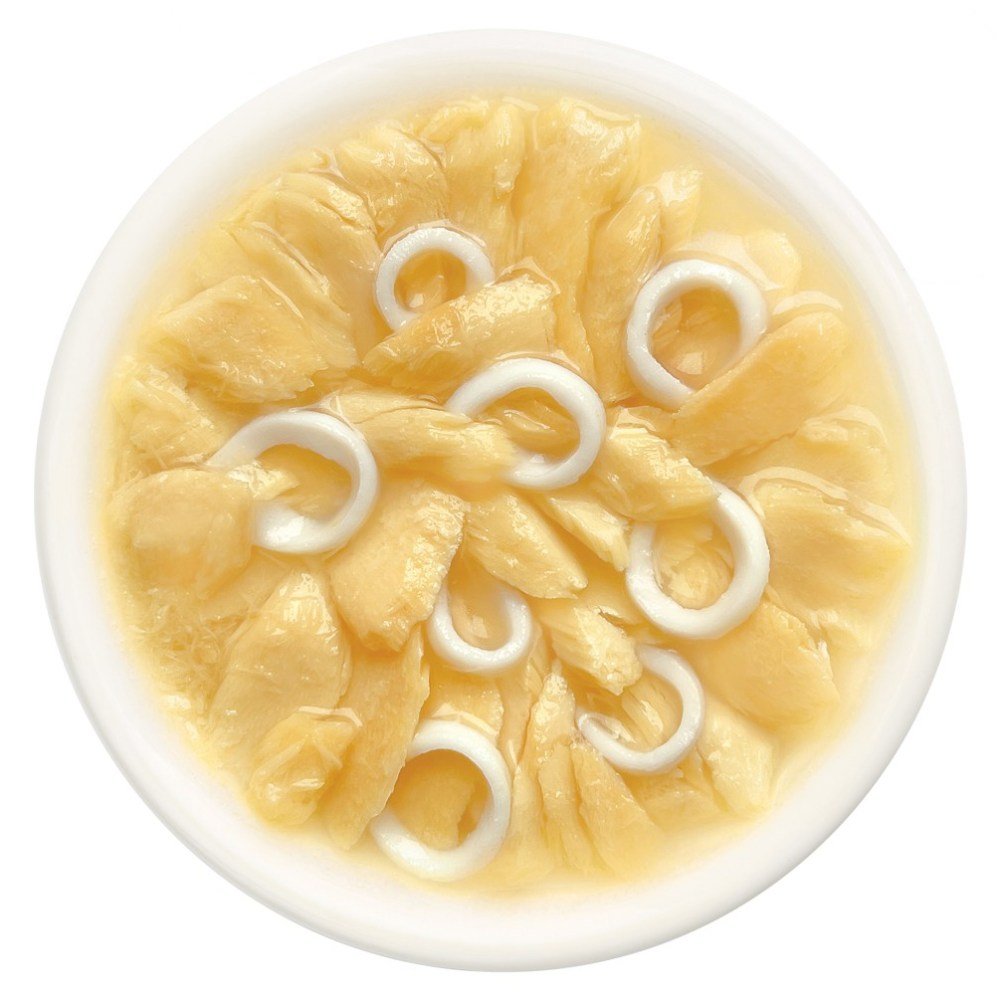 CAT FEST Cat Food Pouches – Salmon with Calamari in Tender Jelly (70g) - Petzone Kenya