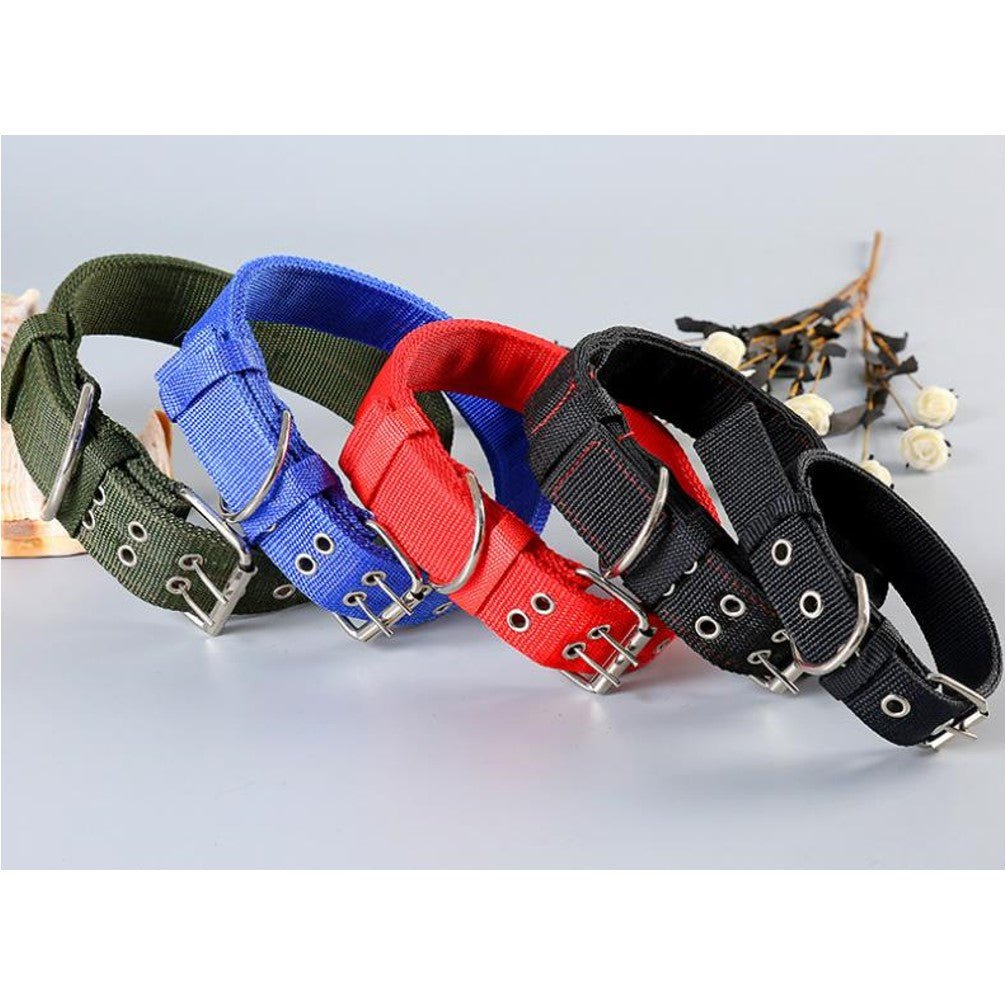 Dog Collars - Petzone Kenya