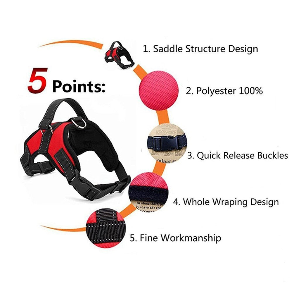 Dog Harness