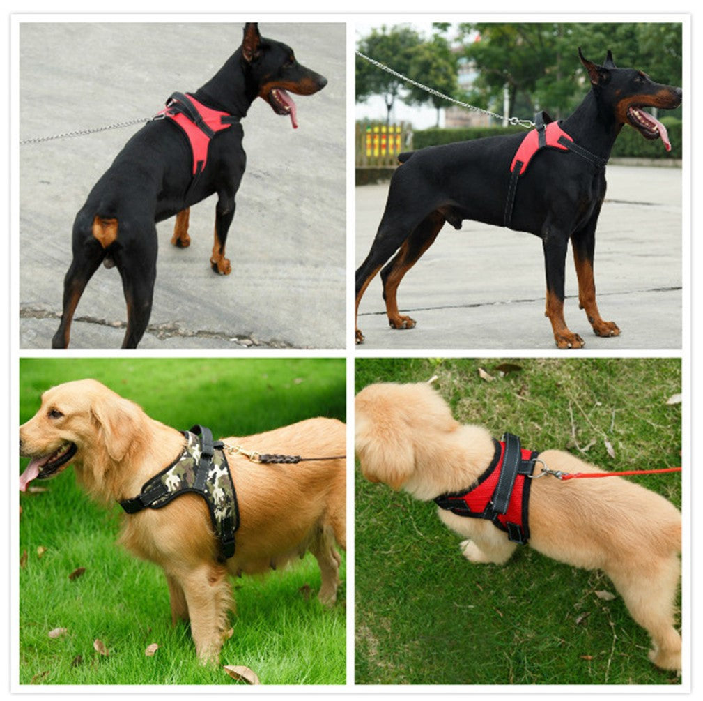 Dog Harness