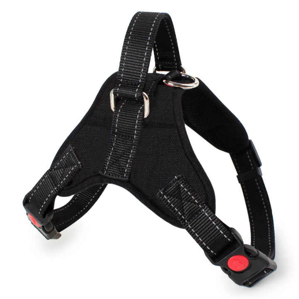 Dog Harness