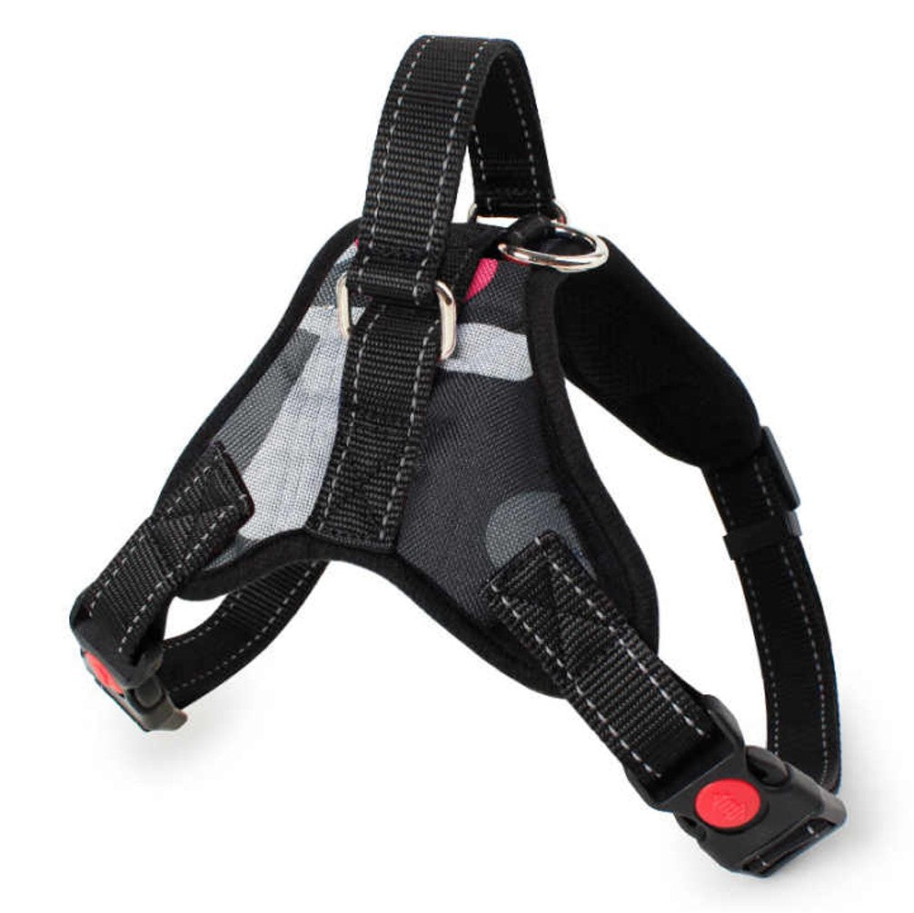 Dog Harness