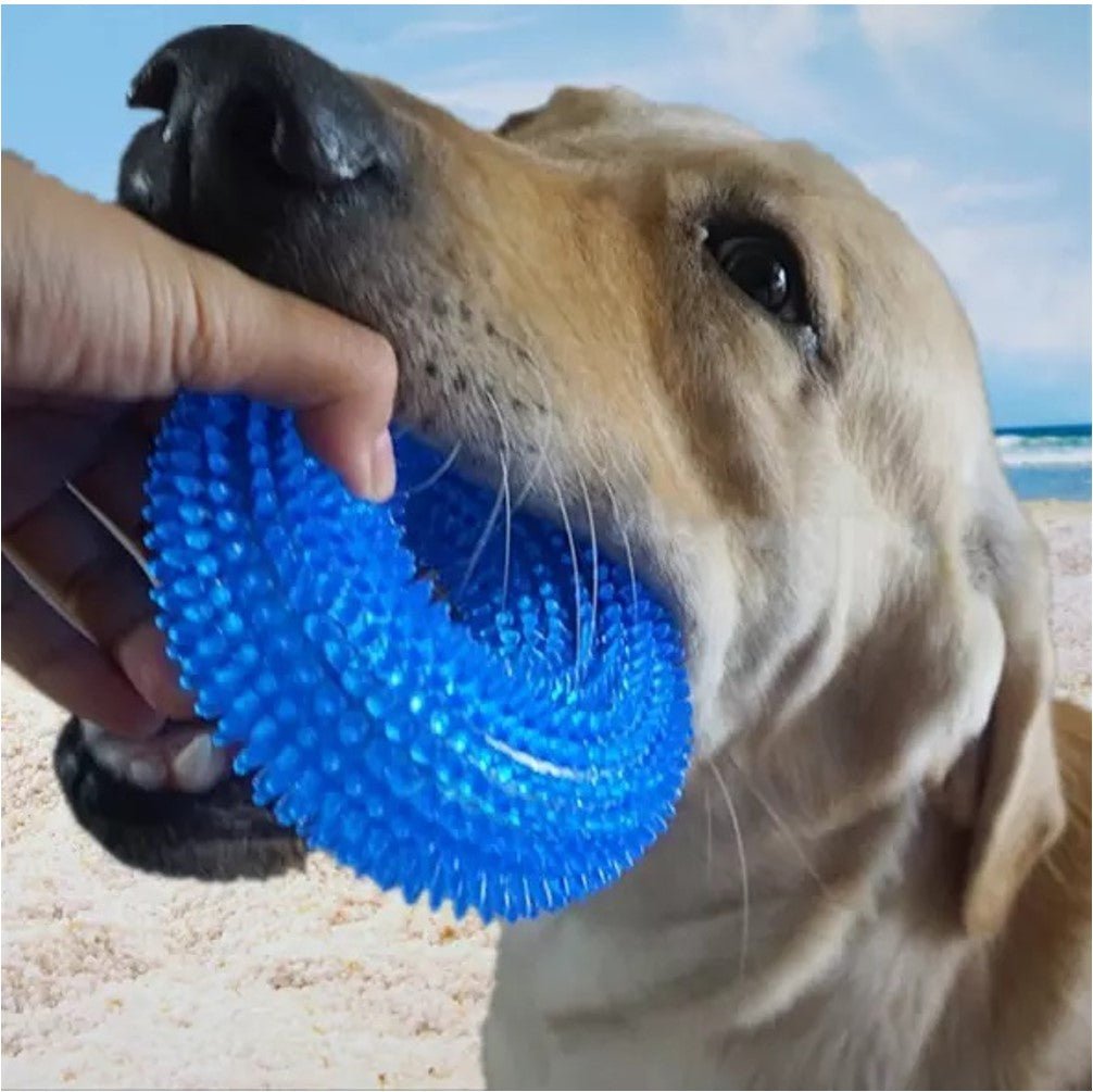 Tpr Dog Ring Toy L:12.5*4 Cm - Petzone Kenya