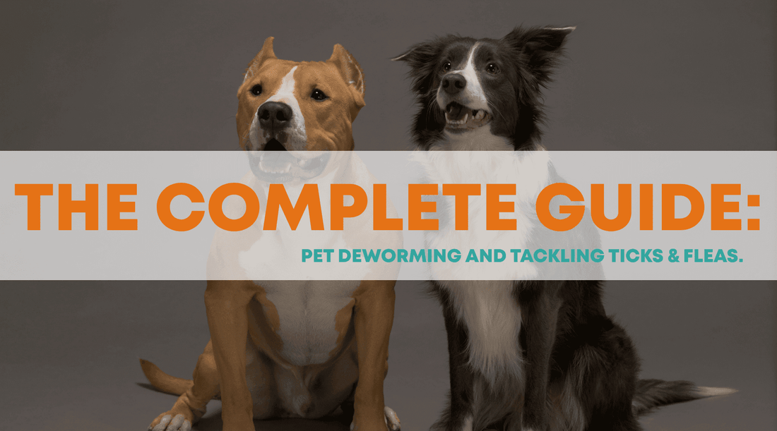 Fenbendazole in Kenya, Bravecto for Cats and Dogs & Alfinil Tablets: The Complete Pet Deworming and Tick & Flea Guide - Petzone Kenya