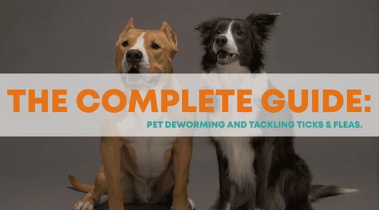 Fenbendazole in Kenya, Bravecto for Cats and Dogs & Alfinil Tablets: The Complete Pet Deworming and Tick & Flea Guide - Petzone Kenya