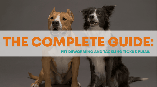 Fenbendazole in Kenya, Bravecto for Cats and Dogs & Alfinil Tablets: The Complete Pet Deworming and Tick & Flea Guide - Petzone Kenya