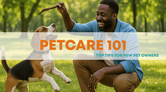 Pet Care 101: 5 Tips for New Pet Owners - Petzone Kenya