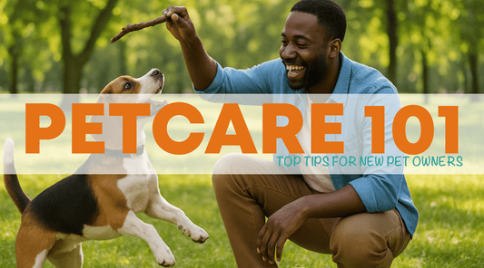 Pet Care 101: 5 Tips for New Pet Owners - Petzone Kenya