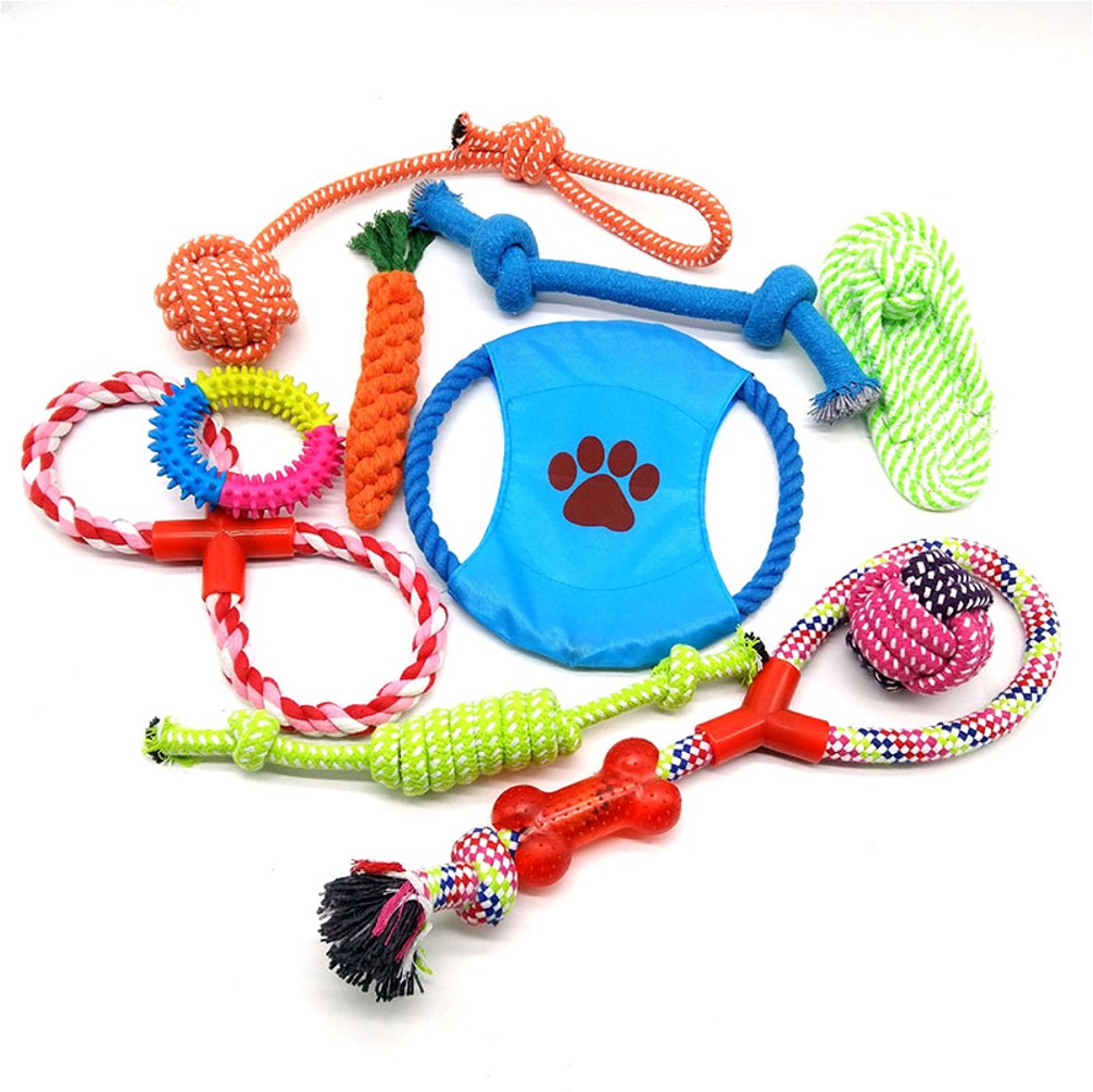 Assorted Dog Toys