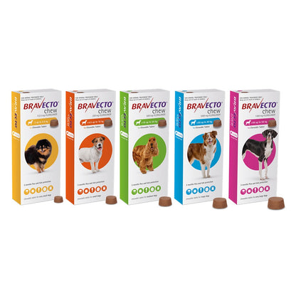 BRAVECTO for Dogs