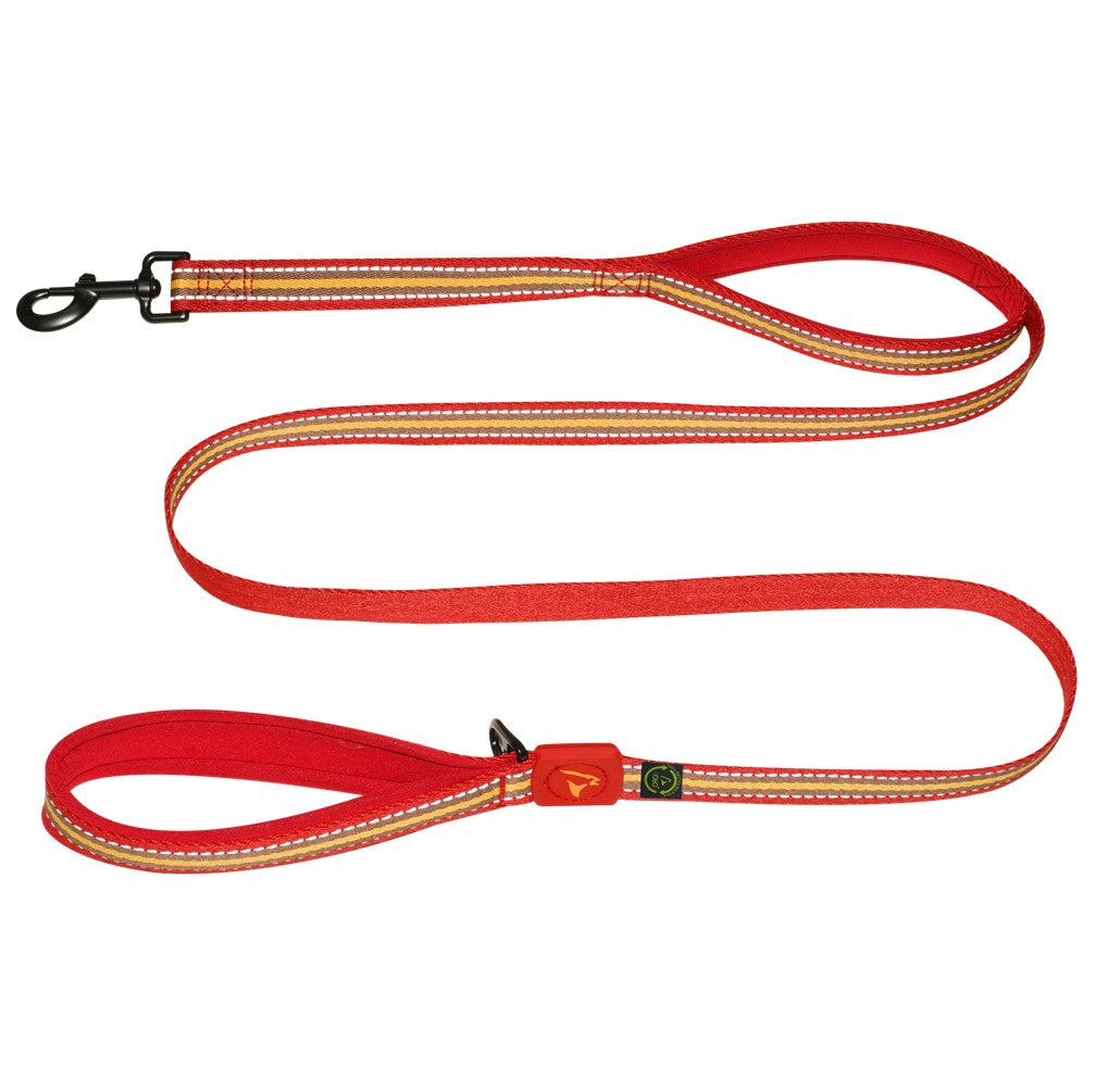 DOCO w/Recycled Double Handle Leash