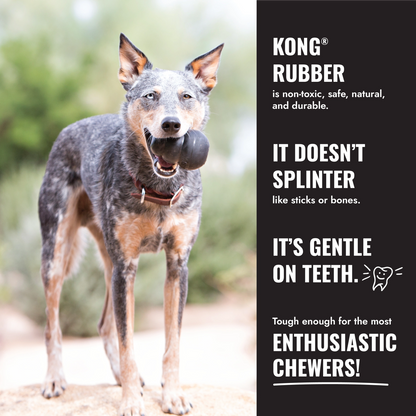 KONG Extreme Ball w/Rope
