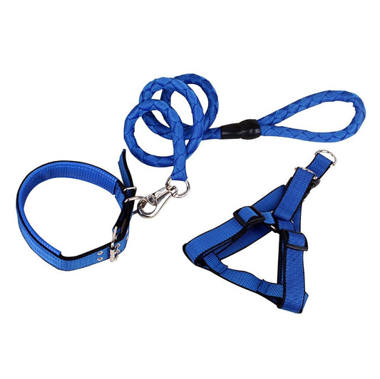 Collar Harness Leash Set (Xs) 1.5*160cm