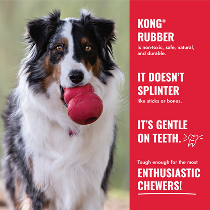 KONG Ball w/Hole
