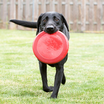 KONG Flyer