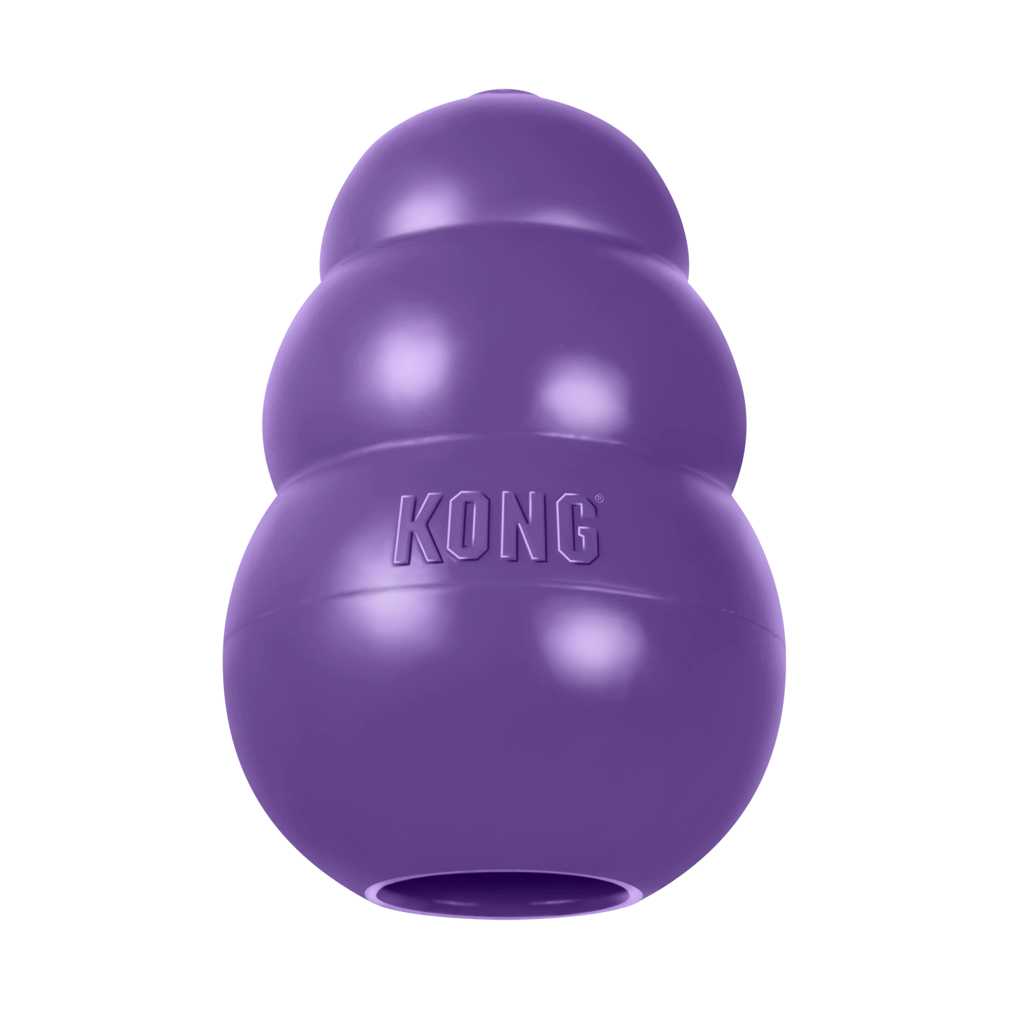 KONG Senior
