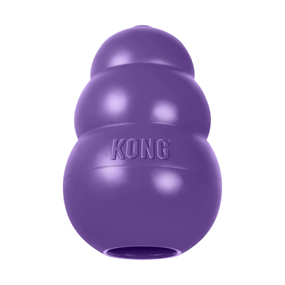 KONG Senior