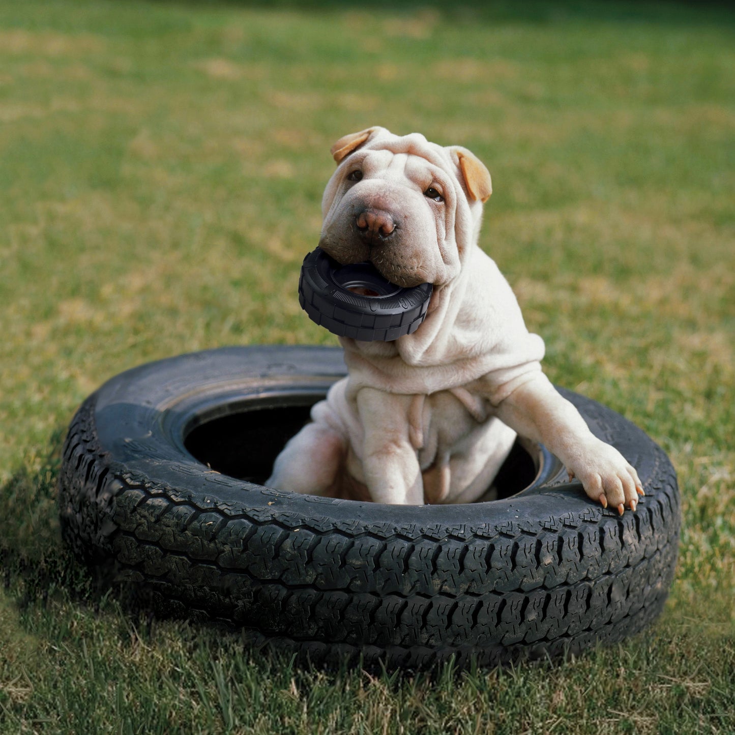 KONG EXTREME TIRES