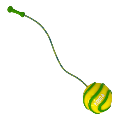 KONG Bunji High-Viz Ball Assorted