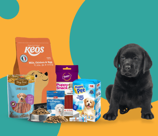 What your puppy needs