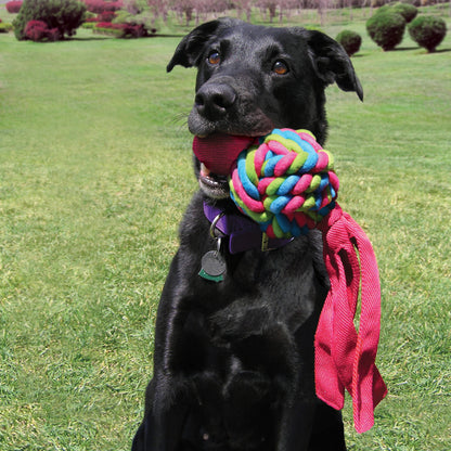 KONG Wubba Weaves Assorted