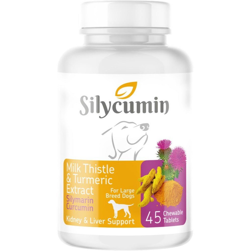 BIO PETACTIVE SILYCUMIN - Petzone Kenya