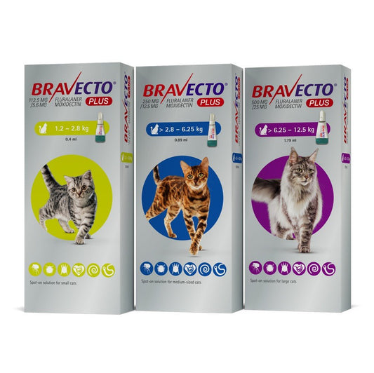 BRAVECTO for Cats - Petzone Kenya