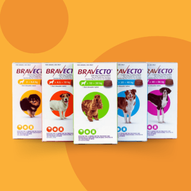 BRAVECTO for Dogs - Petzone Kenya