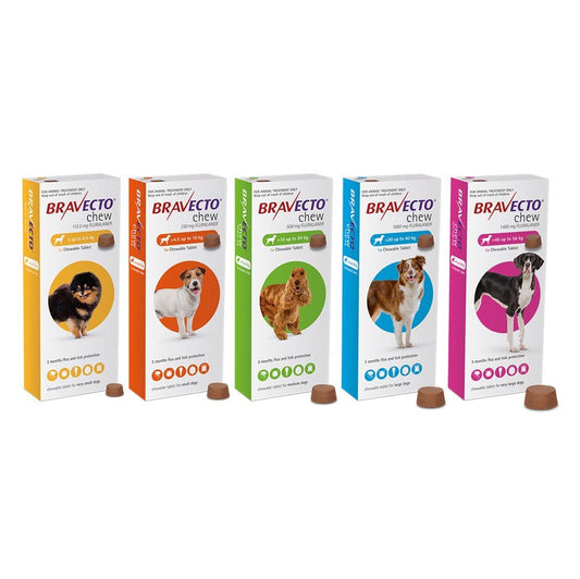 BRAVECTO for Dogs - Petzone Kenya