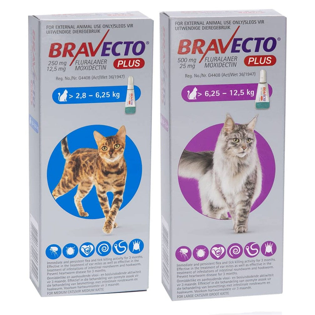 BRAVECTO for Cats