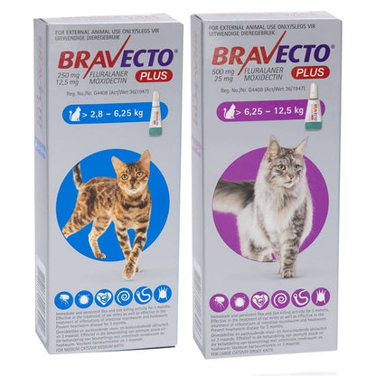 BRAVECTO for Cats