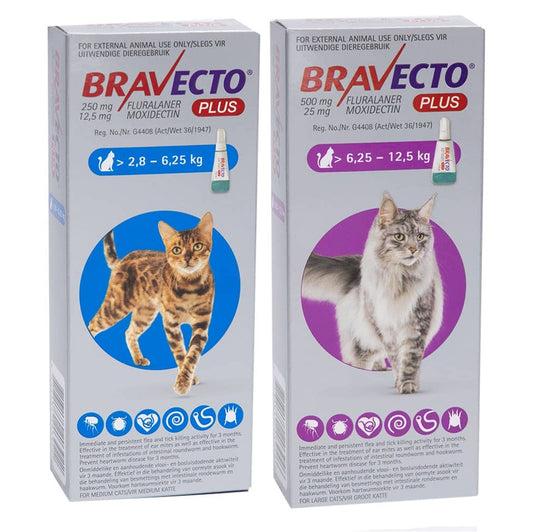 BRAVECTO for Cats