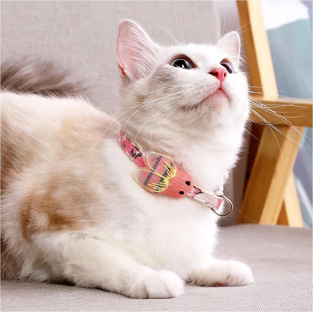 Cat Collar - Petzone Kenya