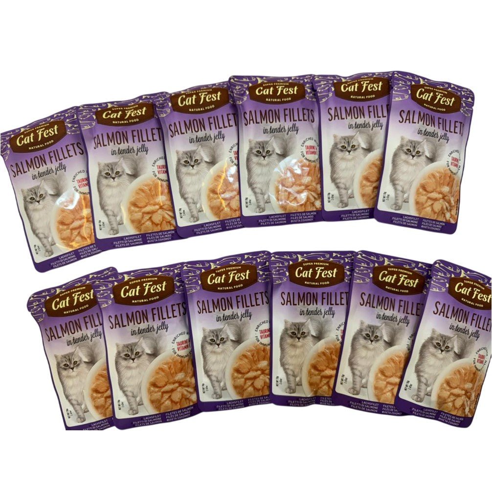 CAT FEST Adult Cat Food Pouches in Tender Jelly 70Gr - 12 Pack - Petzone Kenya