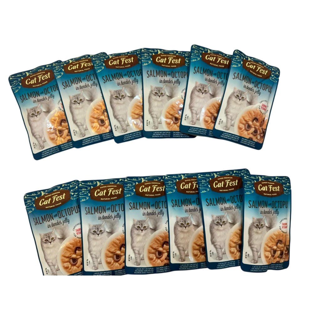CAT FEST Adult Cat Food Pouches in Tender Jelly 70Gr - 12 Pack - Petzone Kenya