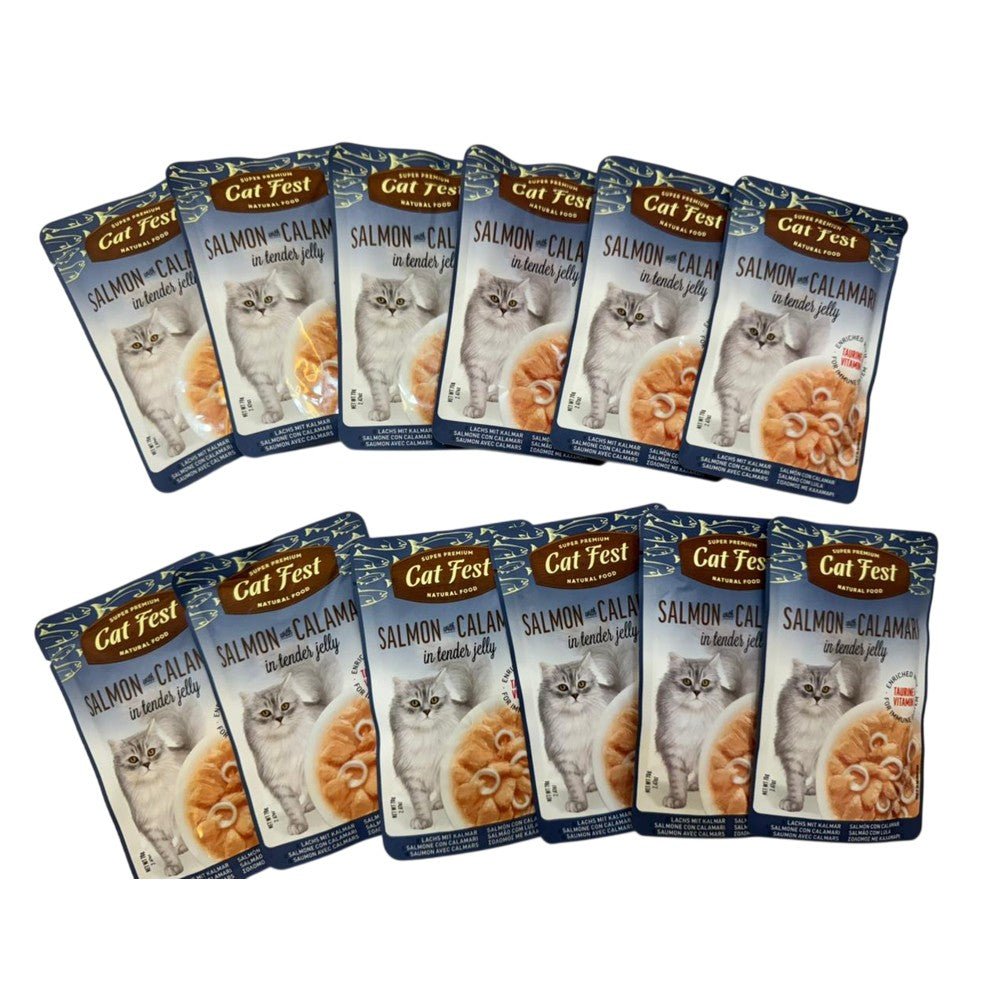 CAT FEST Adult Cat Food Pouches in Tender Jelly 70Gr - 12 Pack - Petzone Kenya