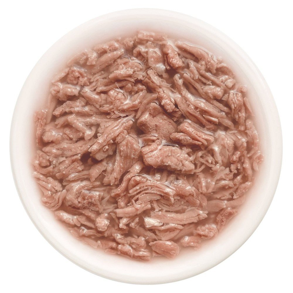 CAT FEST Cat Food Pouches - Duck Fillets in Tender Jelly (70g) - Petzone Kenya