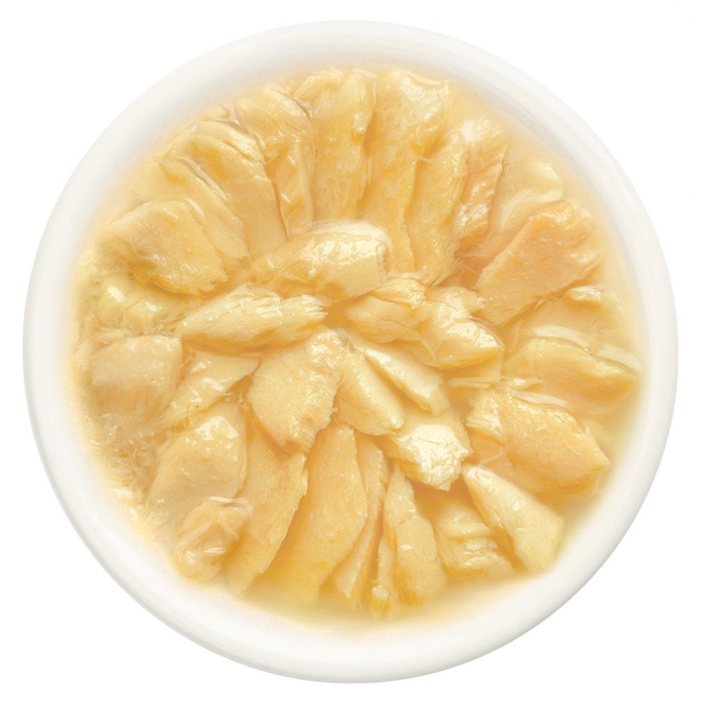 CAT FEST Cat Food Pouches - Salmon Fillets in Tender Jelly (70g) - Petzone Kenya