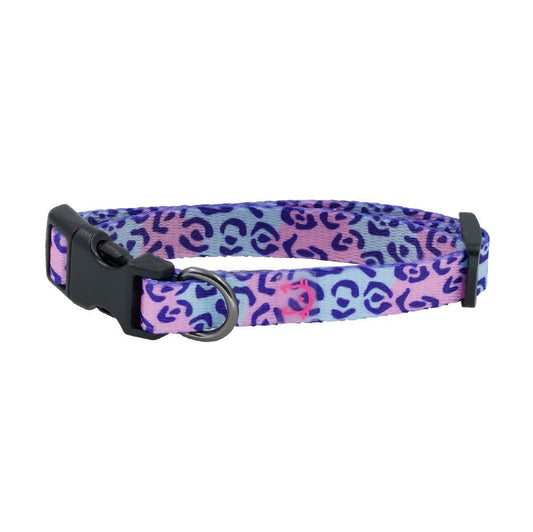 DOCO® Heat Transfer Cat/Dog Collar (1.0x19 - 31cm) - Petzone Kenya