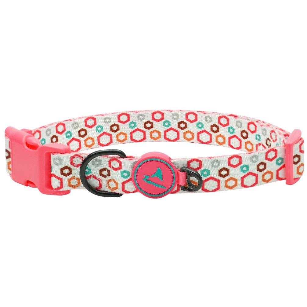 DOCO LOCO Collar - Petzone Kenya