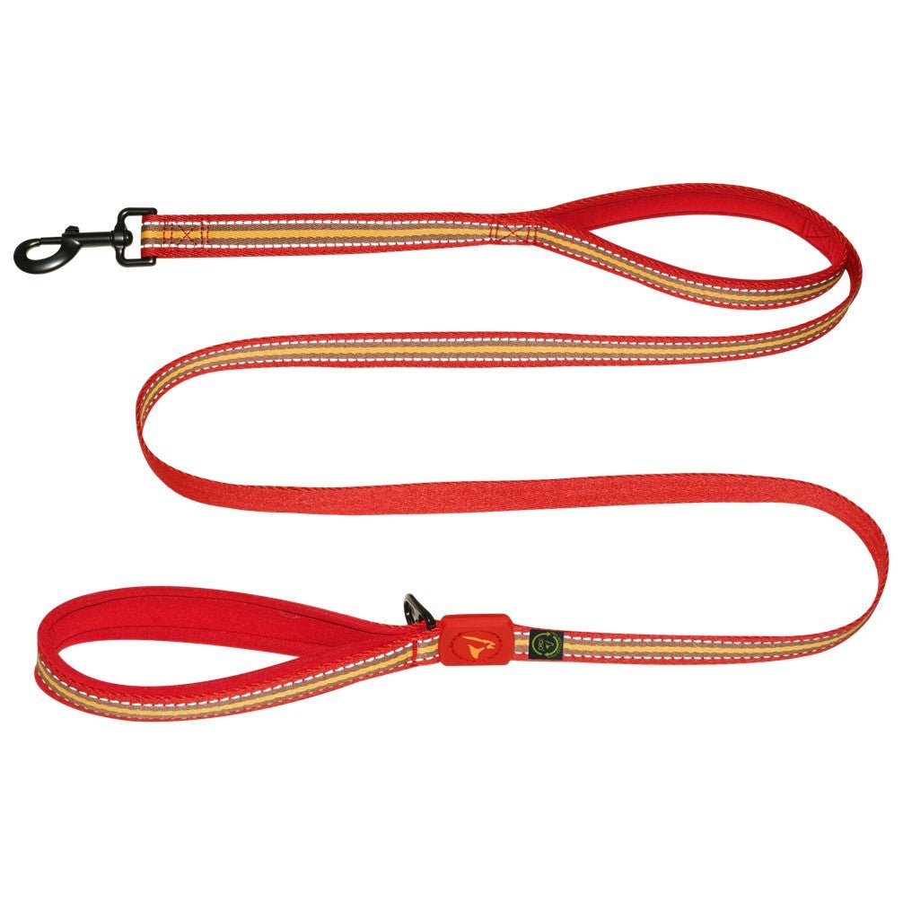 DOCO w/Recycled Double Handle Leash - Petzone Kenya