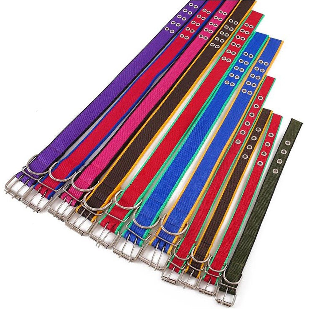 Dog Collars - Petzone Kenya