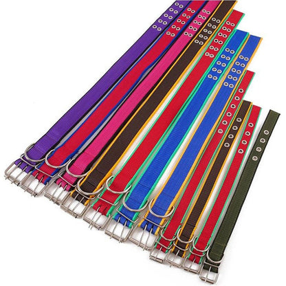 Dog Collars - Petzone Kenya