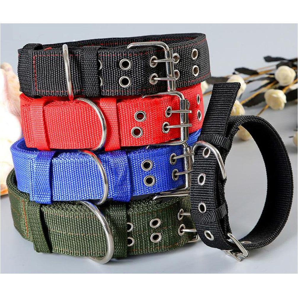 Dog Collars