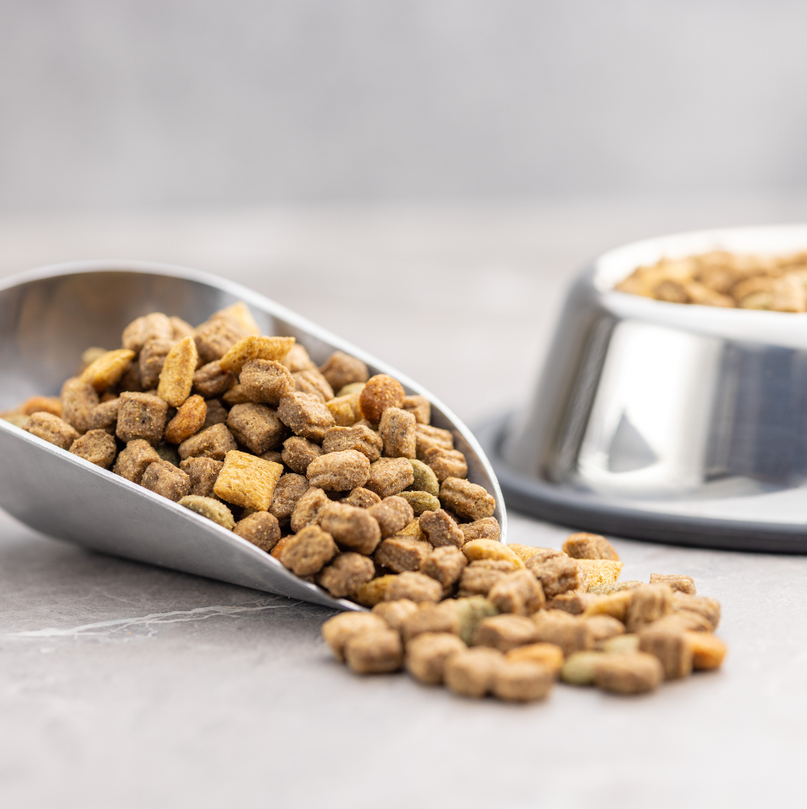 Dry Food