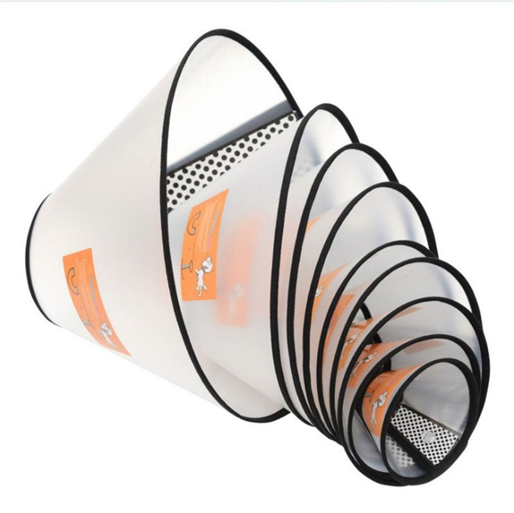Elizabethan Collar